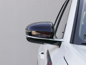 20201.5T ԄF (x)(ji)^