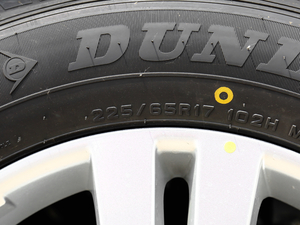 2019280T քӰf VI ݆̥ߴ