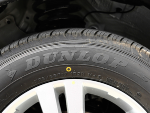 2019280T քӰf VI ݆̥Ʒ