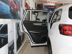 2020款280T 自动精智型 国VI 左后车门