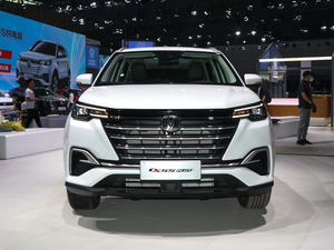 2020款1.5T 自动炫动型 正前