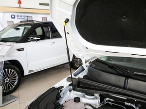 2020款1.5T 自动炫动型 其它