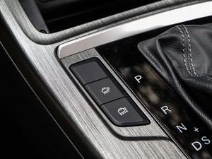 2020款蓝鲸版 1.5T 自动豪华型 中控区