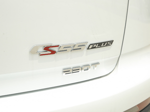 2020款1.5T 自动炫色型 细节外观