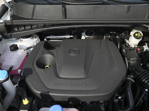 2020款蓝鲸版 1.5T 手动豪华型 其它