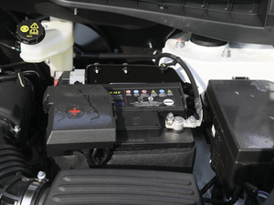 2020款蓝鲸版 1.5T 手动豪华型 其它