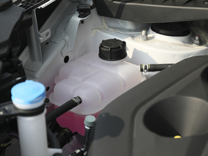 2020款蓝鲸版 1.5T 手动豪华型 其它