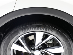 2020Lm(x)   ݆̥Ʒ