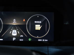 2020款标准续航 智享版 中控区