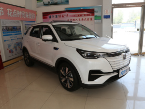 2020款超长续航 智尊版  整体外观