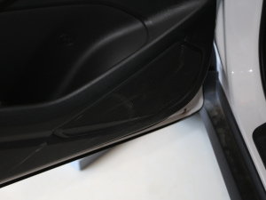 2020L(zhng)m(x)   g