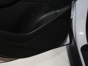 2020L(zhng)m(x)   g