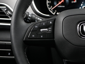 2020{L 1.5T ԄŞ п؅^(q)