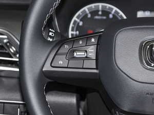 2020{L 1.5T ԄӾӢ п؅^(q)