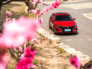 2020款PLUS 蓝鲸NE 1.4T GDI 自动旗舰型 整体外观