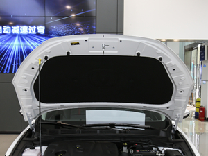 2020PLUS 1.6L GDI քӺA 