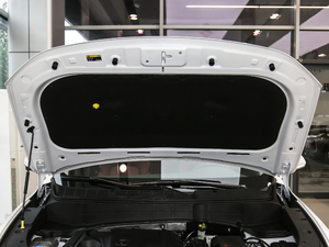 20201.4T DCT(lin){(ln)L VI 