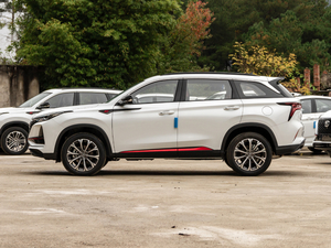 20212.0T ԄI(lng) (c)