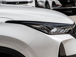 20211.5T ԄF (x)(ji)^