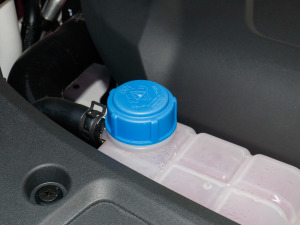 20212.0T ȫ݆(q)(dng)F 