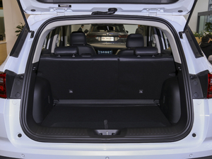 2021sҫf 1.6L CVTA g