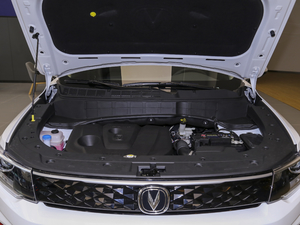 2021sҫf 1.6L CVTA lәC