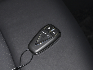 2021sҫf 1.6L CVTӢ ܇耳