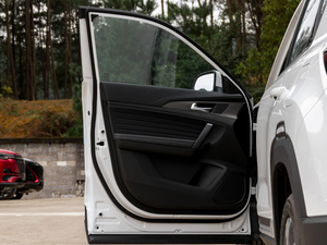 2021sҫf 1.6L քӺA g