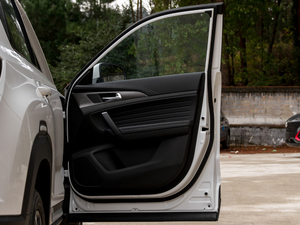 2021sҫf 1.6L քӺA g