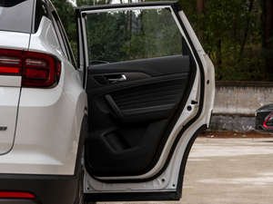 2021sҫf 1.6L քӺA g