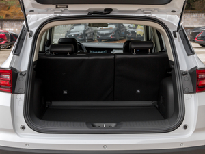 2021sҫf 1.6L քӺA g