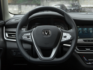 2021sҫf 1.6L քӺA P