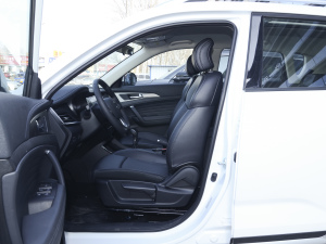 2021sҫf 1.6L քӾӢ ǰſg