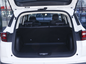 2021sҫf 1.6L քӾӢ g