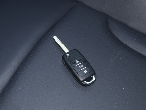 2021sҫf 1.6L քӾӢ ܇耳