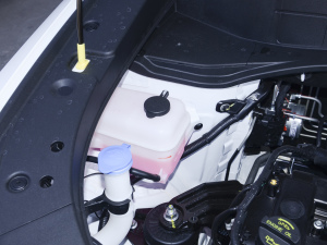 2021sҫf 1.6L քӾӢ 