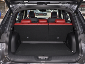 2021{LNE 1.4T DCTF g