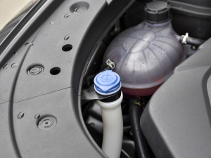 2021{(ln)LNE 1.4T DCTF 