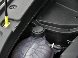 2021{(ln)LNE 1.4T DCTF 