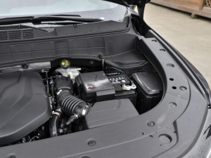 2021{(ln)LNE 1.4T DCTF 