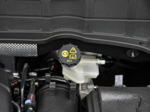 2021{(ln)LNE 1.4T DCTF 