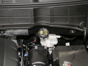 2021{(ln)LNE 1.4T DCTF 