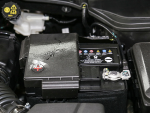 2021{(ln)LNE 1.4T DCTF 