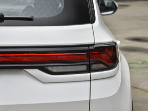 2021{(ln)LNE 1.4T DCTA β