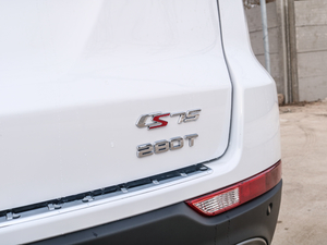 2021款荣耀百万版 1.5T 手动精英型 细节外观