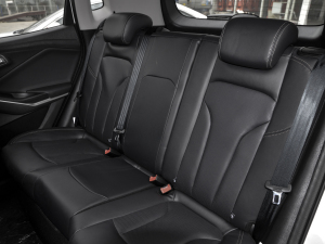 20211.5L Ԅ(dng)M(jn)ȡ 