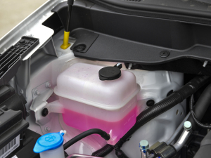 2021款1.5L 自动进取型 其它