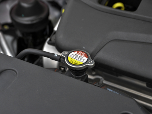 2021款1.5L 自动进取型 其它