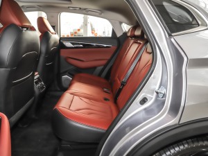 20212.0T Ԅ(dng)Ş ſg