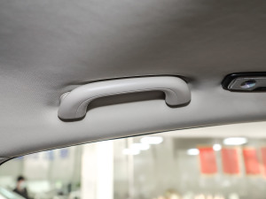 20212.0T Ԅ(dng)Ş g